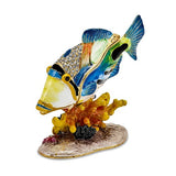 Humu Humu Fish Gift Box